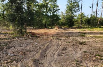 Land clearing photo