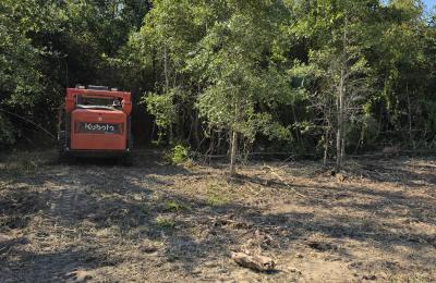 Land clearing photo