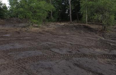 Land clearing photo