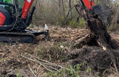 Land clearing photo