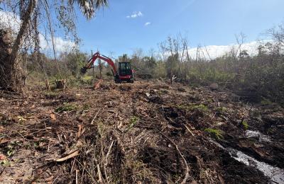 Land clearing photo