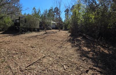 Land clearing photo